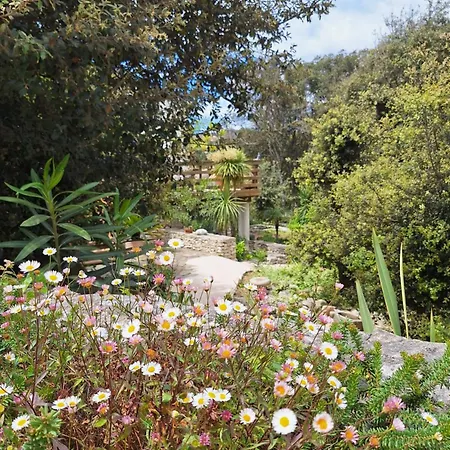 Gite Acellu بيت للعطل *