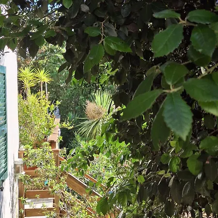 Gite Acellu بيت للعطل *