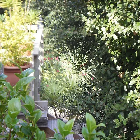 Gite Acellu بيت للعطل *