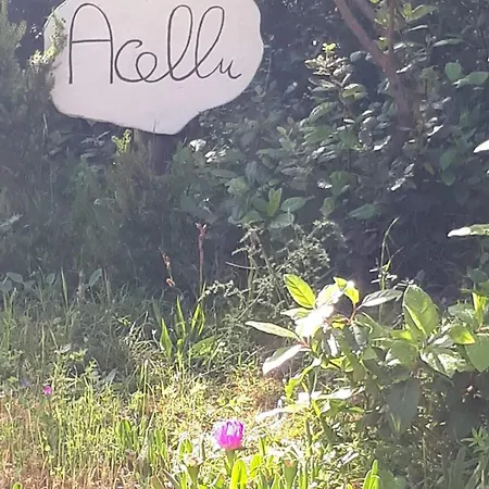 Acellu Holiday home *