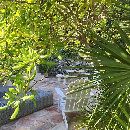 Acellu ボニファシオ